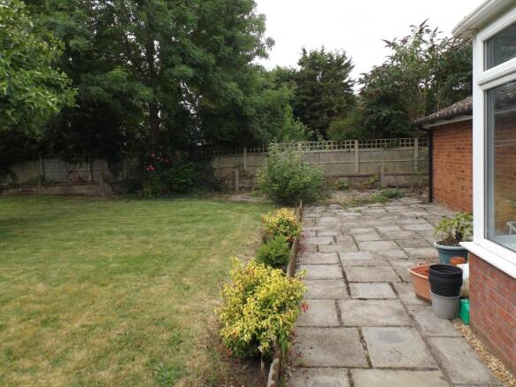 Back Garden