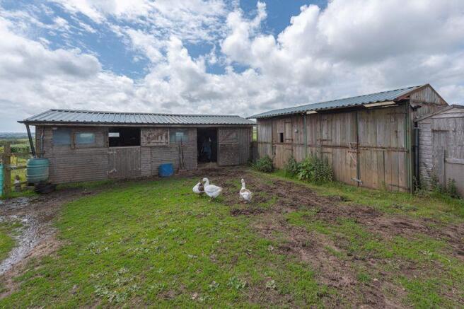 Stables 