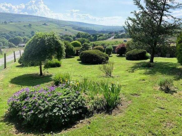 Garden and view