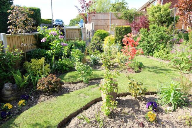 Garden 3.JPG