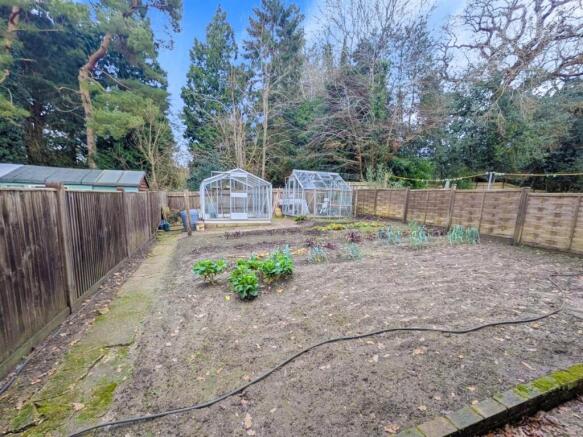 11-Untitled design (18).jpg