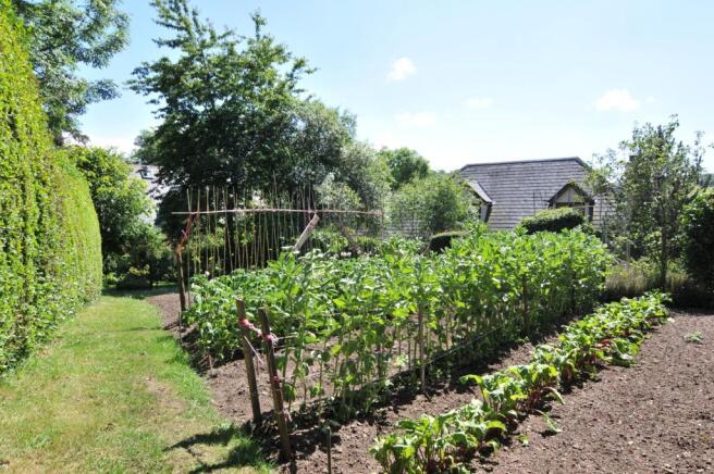 Veg. Plot