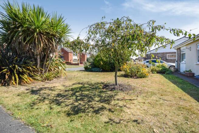 Lawn