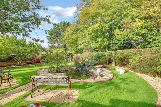Garden at Back