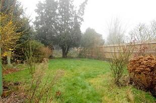Garden Photo 1