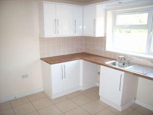 Kitchen View 2