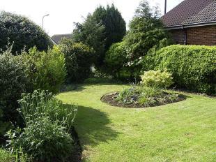 Front garden