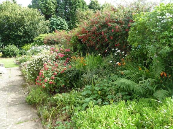 Side Garden