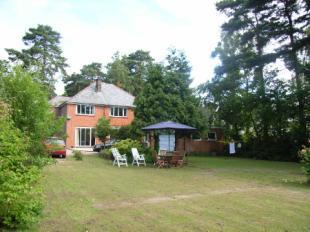 Rear View Of House