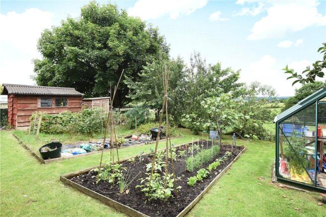 Vegetable Plot