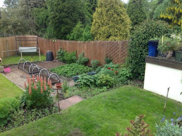 Garden 2.jpg