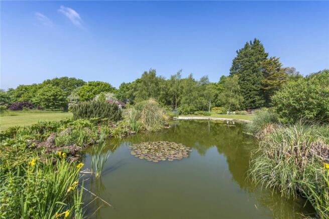 Pond