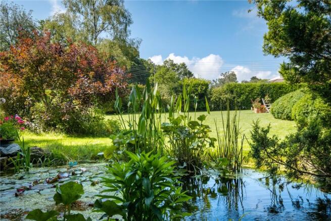 Pond