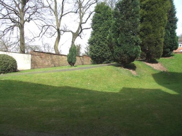garden.jpg