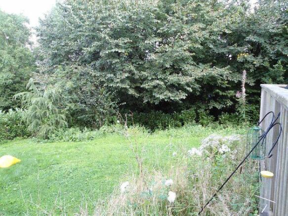 Photo 41