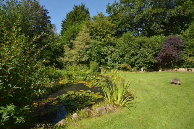 Photo 26