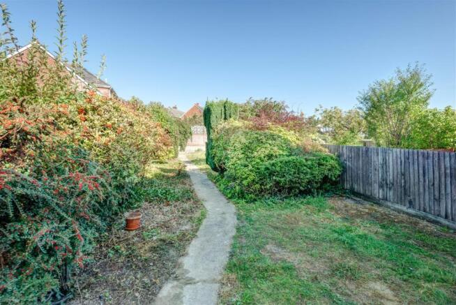 garden.JPG