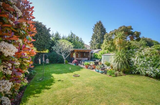 Rear garden.jpg