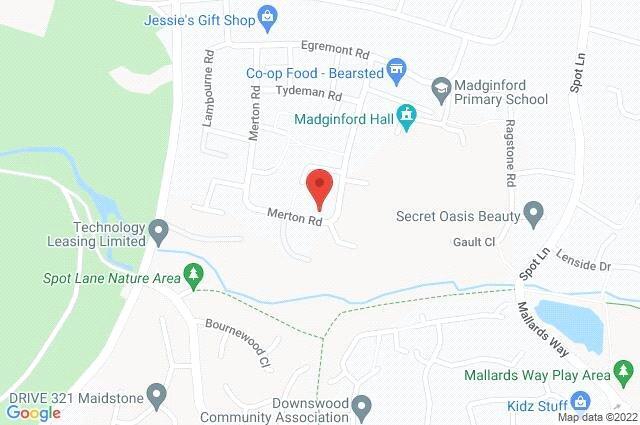 Google Maps Image