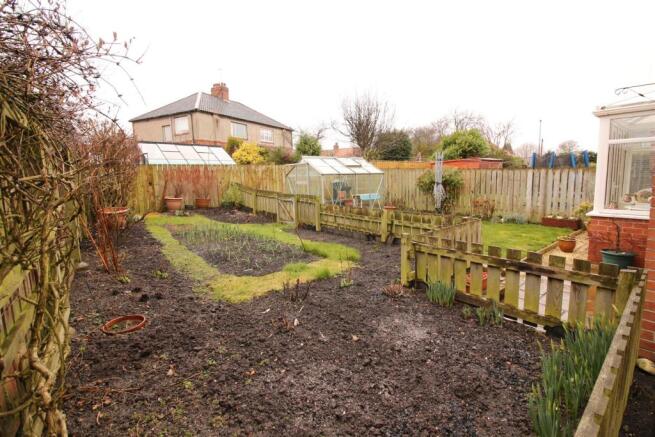 Vegetable Patch
