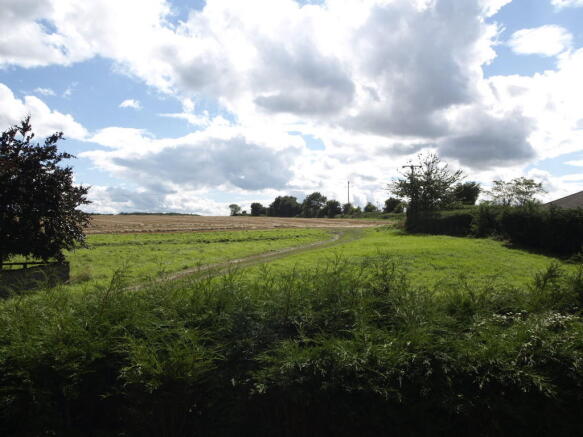 Photo 24
