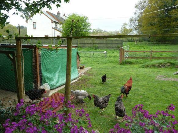 Rear of Garden