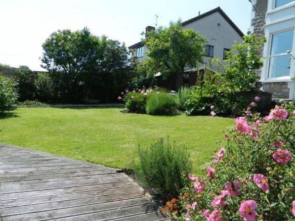 Garden Pic 3