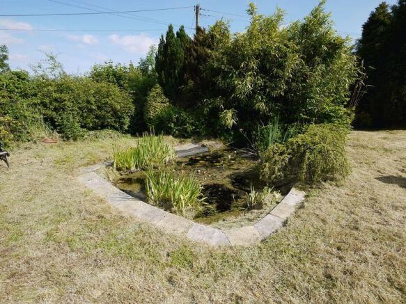 Pond