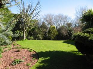 Garden Shot 2