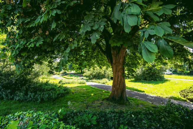 _DSC8089.gif