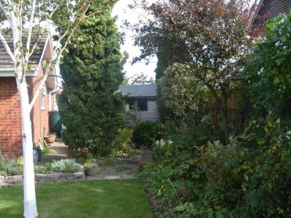 Photo 11