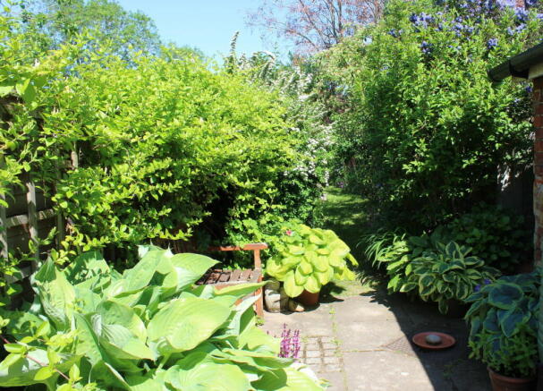 Photo 14