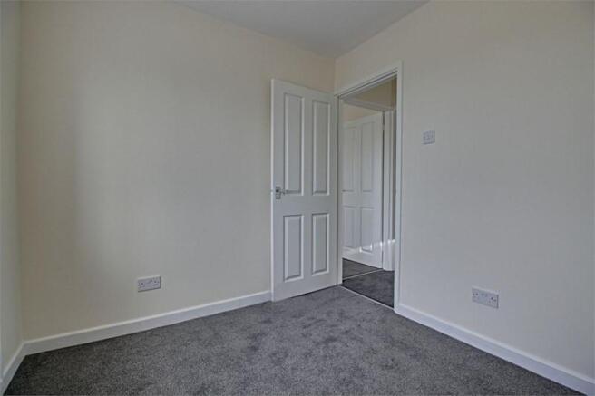 photo7