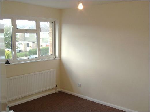 NEW CARPETS