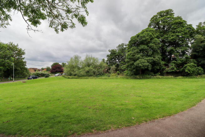 Green space behind house