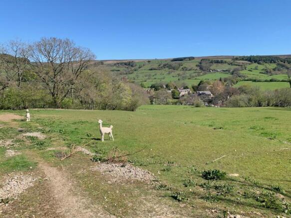 View over Rosedale