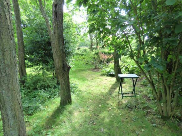 wooded area