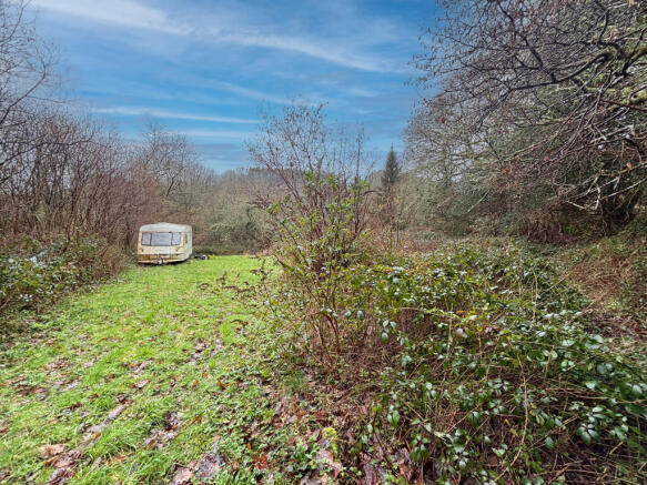 IMG 3155 T202602191404.jpg