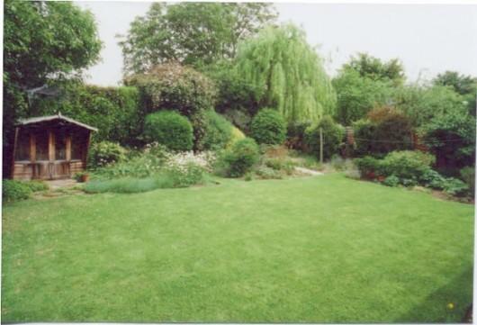 Photo 4
