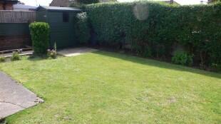 Garden Image2