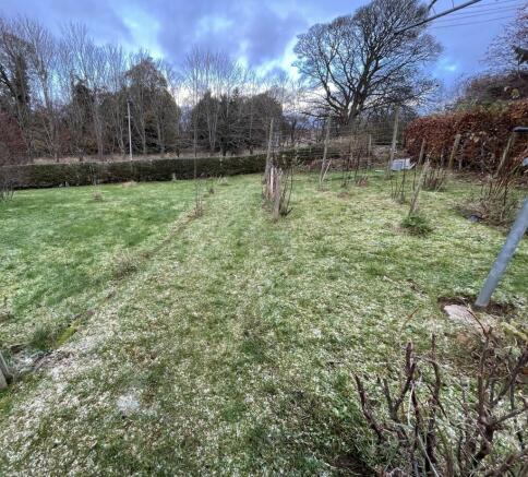 Garden a.JPG