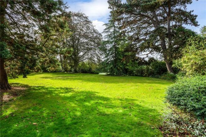 Rear Gardens