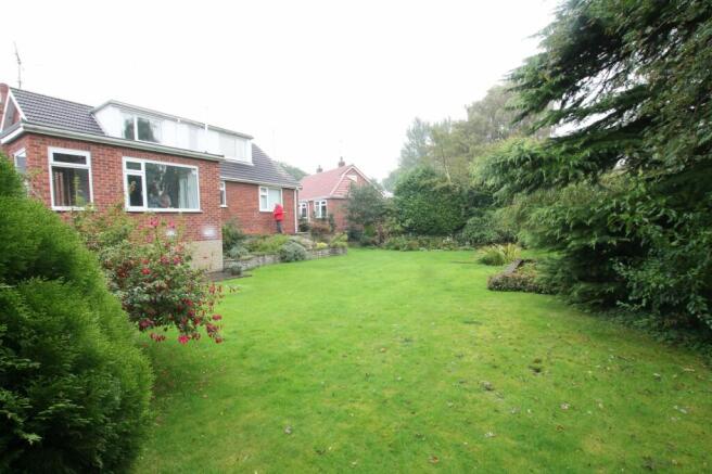 rear gardens