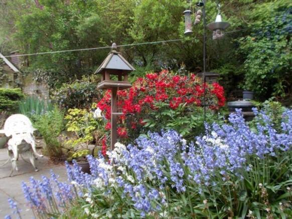 garden.jpg