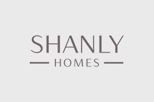 Developer Logo