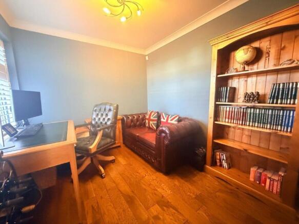 STUDY/SNUG