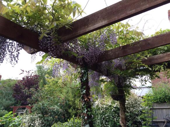 Pergola