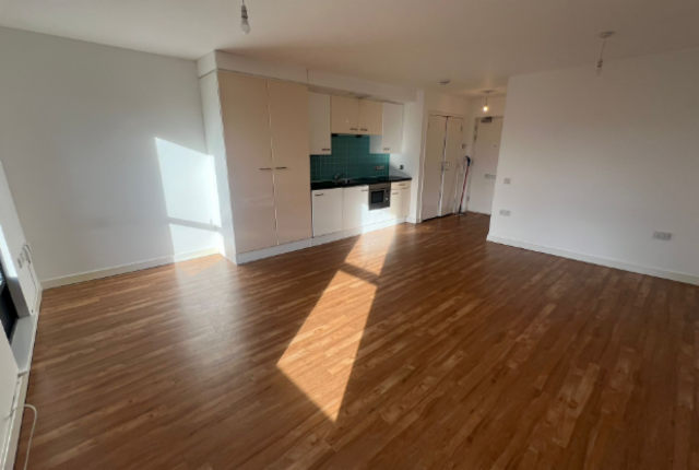 Livingroom, Bedroom and Kitchen Area