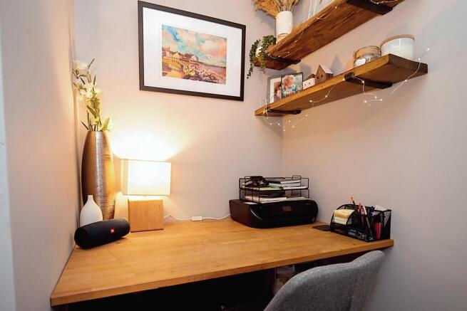 Study Area