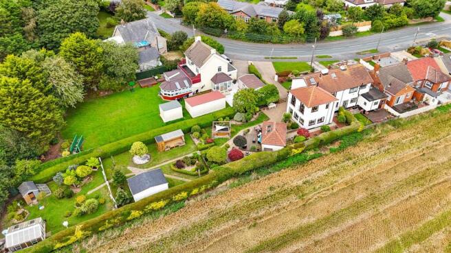 Plot View
